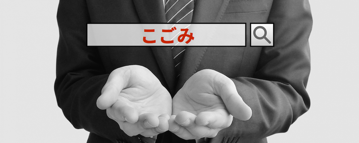 こごみのSE0/インターネットコンサルティング SEOコンサルタントのREAP(神奈川)