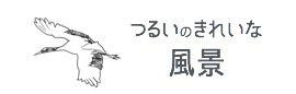 鶴居の丹頂/丹頂と釧路湿原の鶴居村を楽しむ会